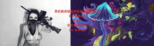 spice Лиски