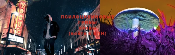 spice Лиски