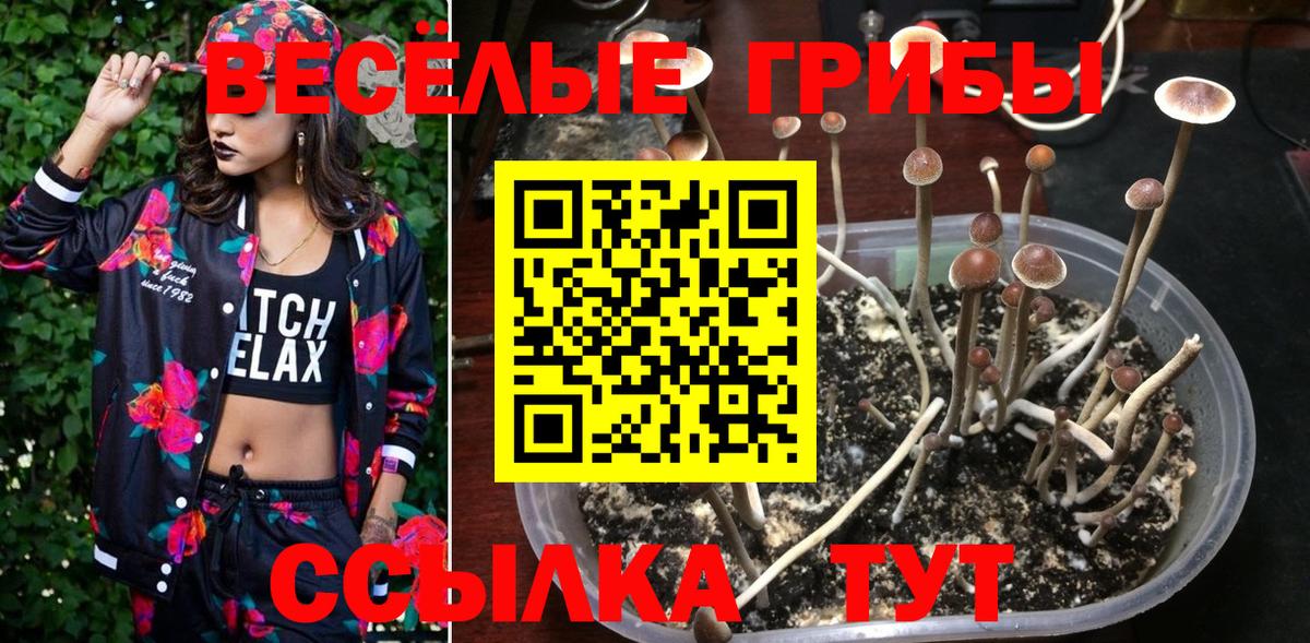 Галлюциногенные грибы Magic Shrooms  Вход с VPN  Галлюциногенные грибы MAGIC MUSHROOMS  Екатеринбург 