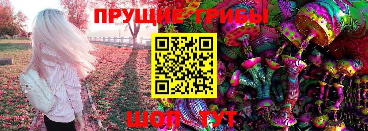 Псилоцибиновые грибы мицелий Екатеринбург