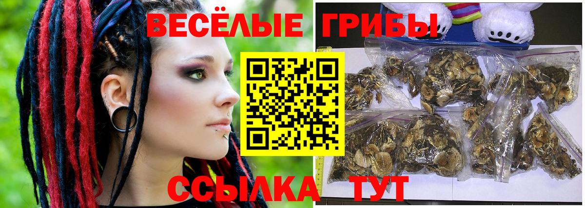 Галлюциногенные грибы Cubensis Екатеринбург