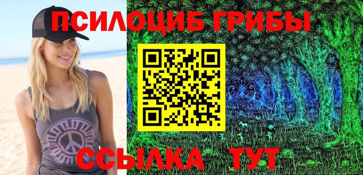 Галлюциногенные грибы Psilocybine cubensis  Екатеринбург 